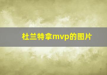 杜兰特拿mvp的图片