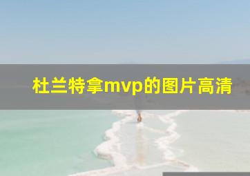 杜兰特拿mvp的图片高清