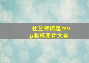 杜兰特捧起mvp奖杯图片大全