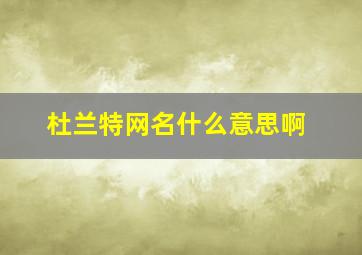 杜兰特网名什么意思啊