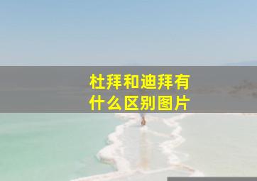 杜拜和迪拜有什么区别图片