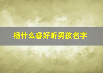 杨什么睿好听男孩名字