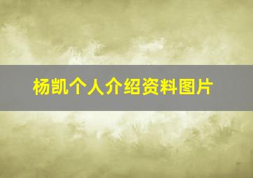 杨凯个人介绍资料图片