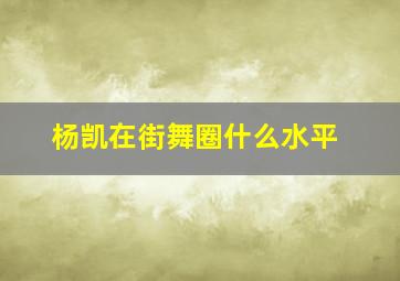 杨凯在街舞圈什么水平