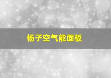 杨子空气能面板