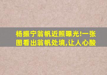 杨振宁翁帆近照曝光!一张图看出翁帆处境,让人心酸