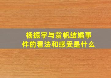 杨振宇与翁帆结婚事件的看法和感受是什么