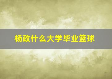 杨政什么大学毕业篮球