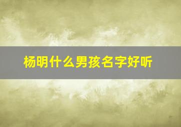 杨明什么男孩名字好听