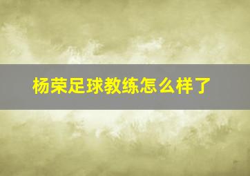 杨荣足球教练怎么样了