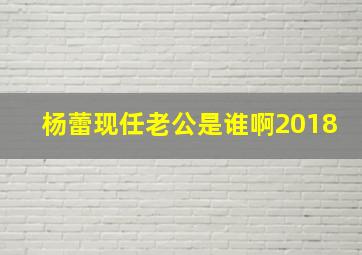 杨蕾现任老公是谁啊2018