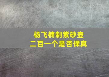 杨飞楠制紫砂壶二百一个是否保真