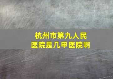 杭州市第九人民医院是几甲医院啊