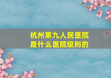 杭州第九人民医院是什么医院级别的