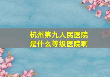 杭州第九人民医院是什么等级医院啊