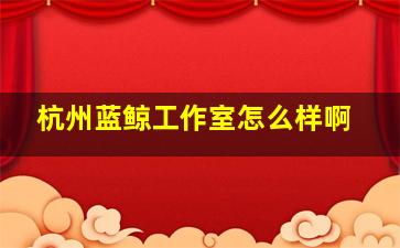 杭州蓝鲸工作室怎么样啊