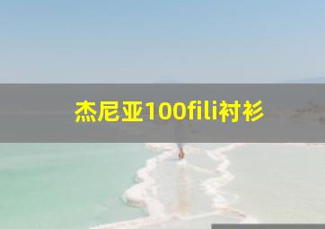 杰尼亚100fili衬衫