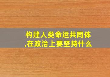 构建人类命运共同体,在政治上要坚持什么