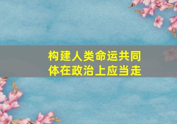 构建人类命运共同体在政治上应当走