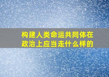 构建人类命运共同体在政治上应当走什么样的