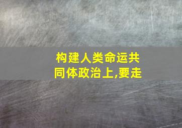 构建人类命运共同体政治上,要走