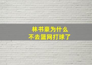 林书豪为什么不去篮网打球了