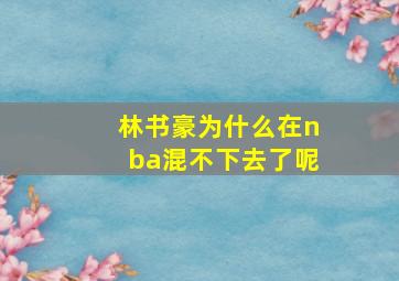 林书豪为什么在nba混不下去了呢