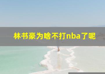 林书豪为啥不打nba了呢