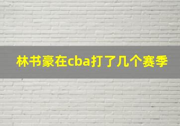 林书豪在cba打了几个赛季