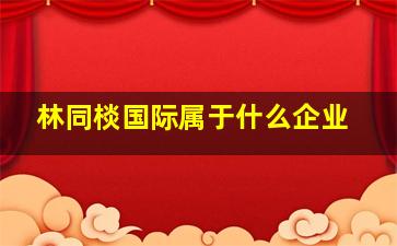 林同棪国际属于什么企业