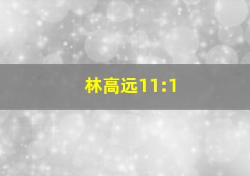 林高远11:1