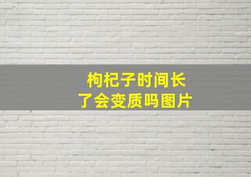 枸杞子时间长了会变质吗图片