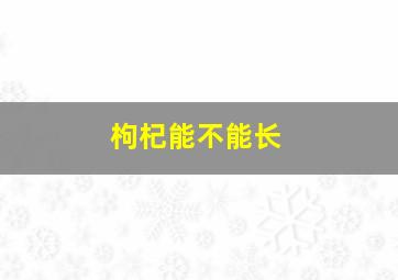 枸杞能不能长