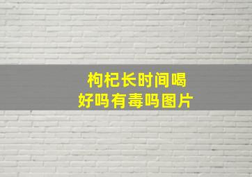 枸杞长时间喝好吗有毒吗图片