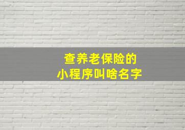 查养老保险的小程序叫啥名字