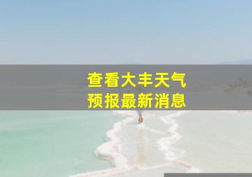 查看大丰天气预报最新消息