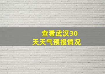 查看武汉30天天气预报情况