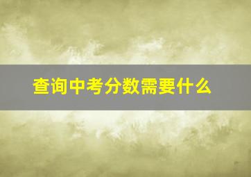 查询中考分数需要什么