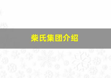 柴氏集团介绍