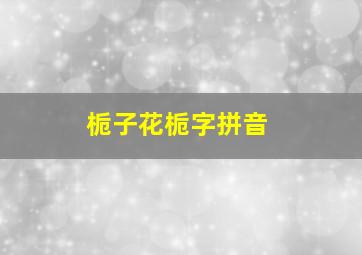 栀子花栀字拼音