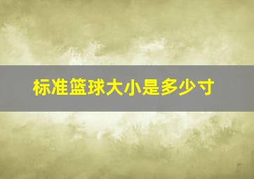 标准篮球大小是多少寸