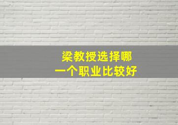 梁教授选择哪一个职业比较好