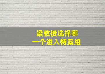 梁教授选择哪一个进入特案组