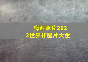 梅西照片2022世界杯图片大全