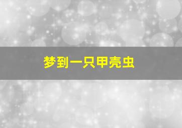 梦到一只甲壳虫