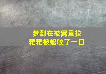 梦到在被窝里拉粑粑被蛇咬了一口