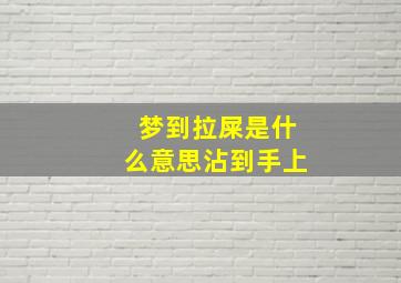 梦到拉屎是什么意思沾到手上