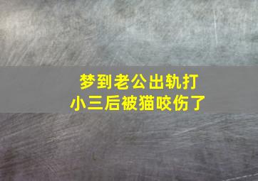 梦到老公出轨打小三后被猫咬伤了