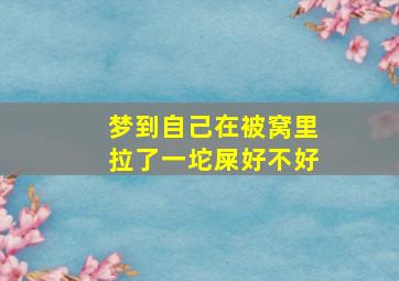 梦到自己在被窝里拉了一坨屎好不好