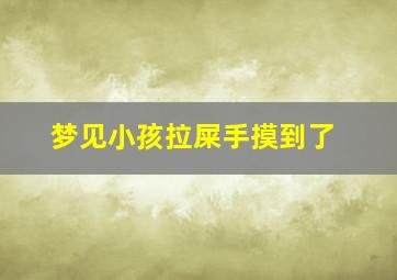 梦见小孩拉屎手摸到了